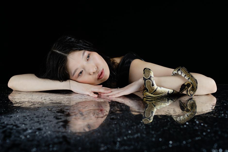 A black serpent-shaped hair clip resting on deep velvet fabric