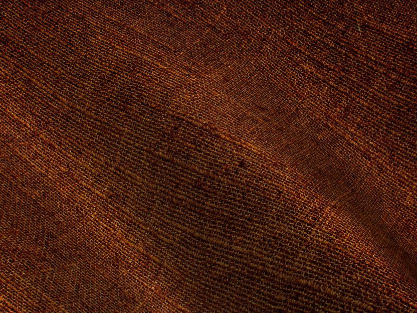Detailed view of the Sukie barrette's tortoiseshell grain and polished edge