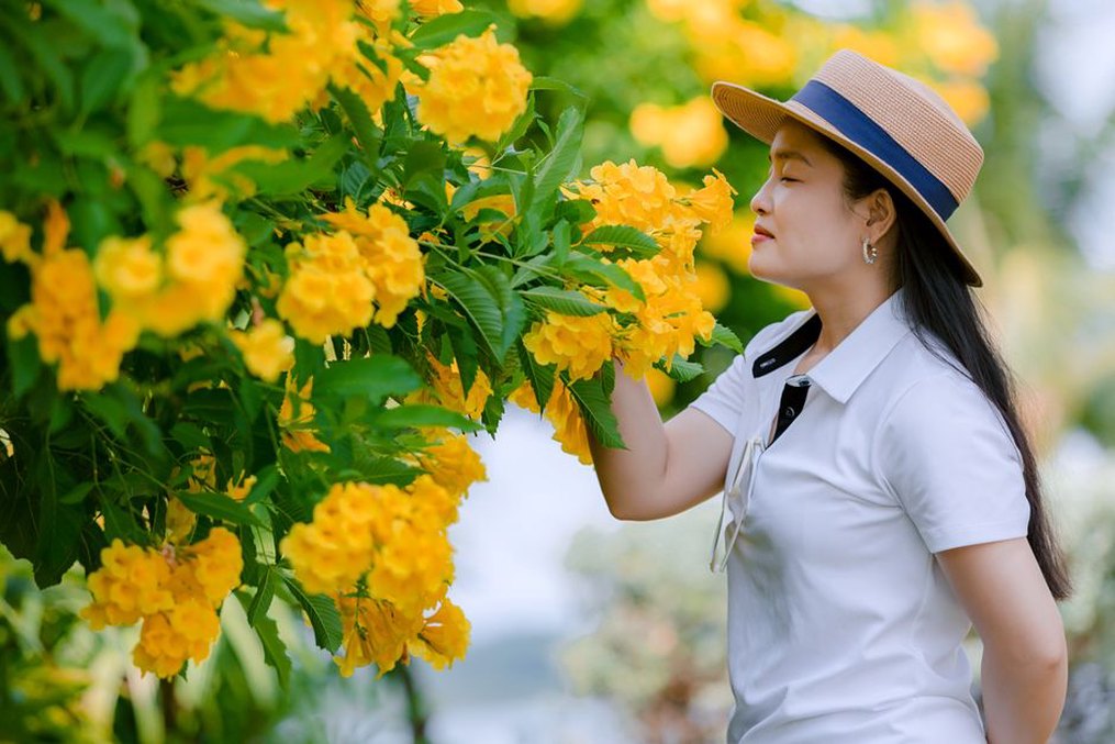 Buttercup yellow barrette styled with a crisp white blouse and low ponytail