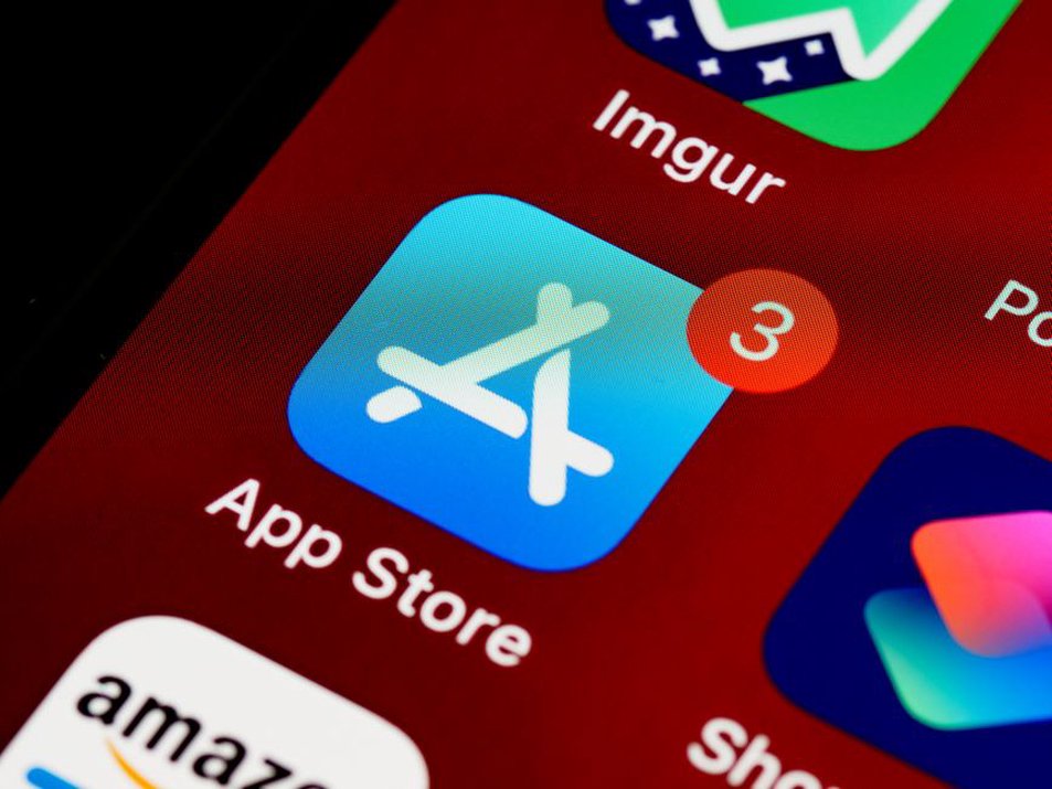 smart phone screen displaying app developer website with ads.txt link
