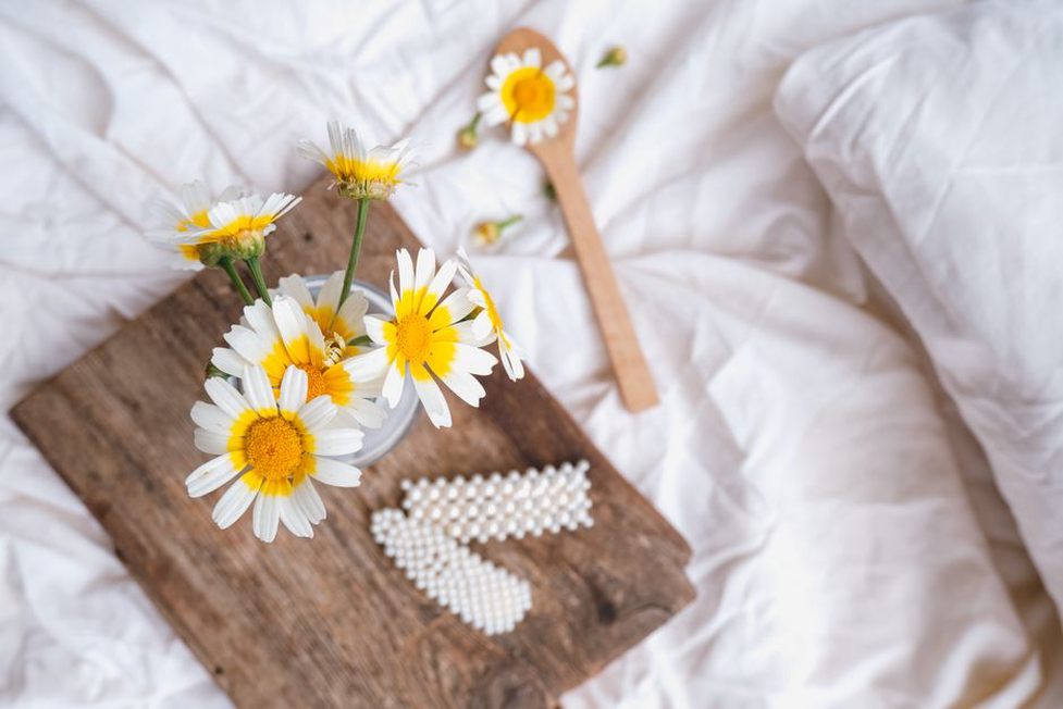 pastel yellow daisy claw resting on worn linen