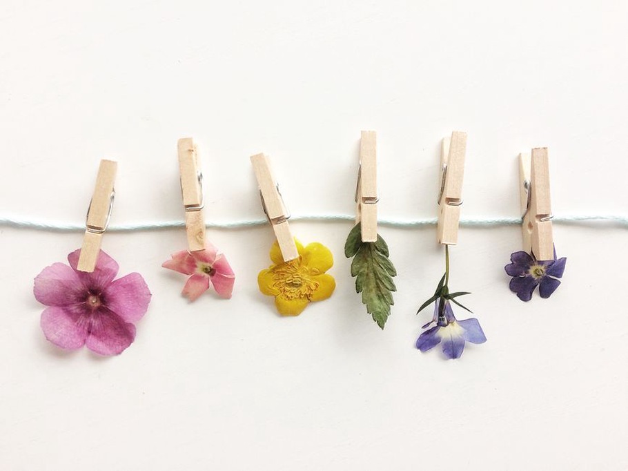Collection of pastel floral hair clips on a lace doily