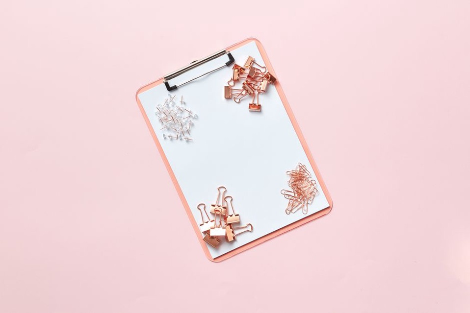 salmon pink leaf clip on neutral surface