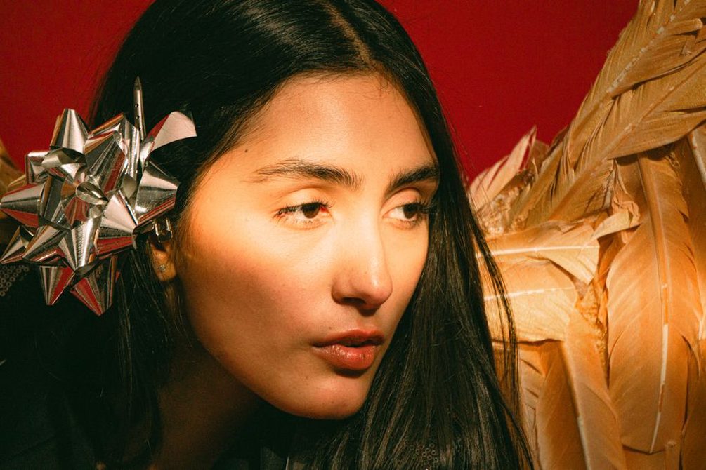 Close-up of a Maison Archives Imogen Bow Barrette in tortoiseshell