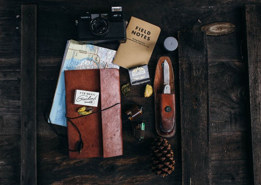 Tortoiseshell hair combs laid out beside a collector's notebook and magnifying glass
