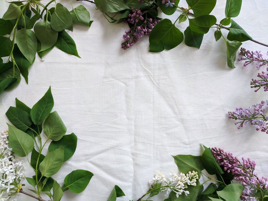 tortoiseshell comb resting on linen at an outdoor tea table